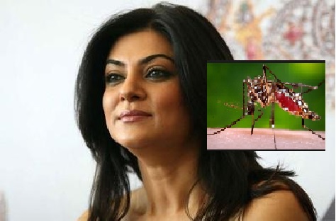سشمیتا کے گھر میں ملا ڈینگو مچھروں کا لاروا، کارپوریشن نے بھیجا نوٹس